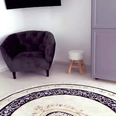 Cozy Studio Urban Апартаменти Брашов