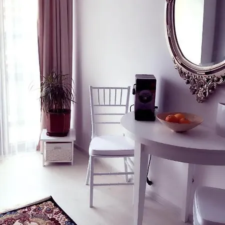Cozy Studio Urban
