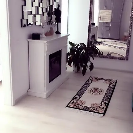 Cozy Studio Urban